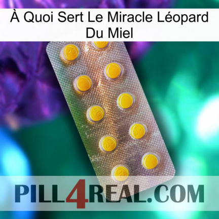 À Quoi Sert Le Miracle Léopard Du Miel new11